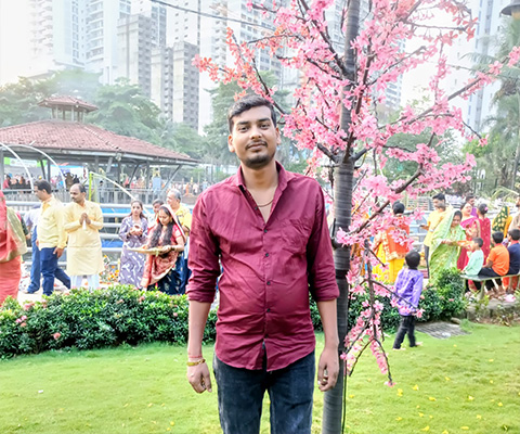 image gallery